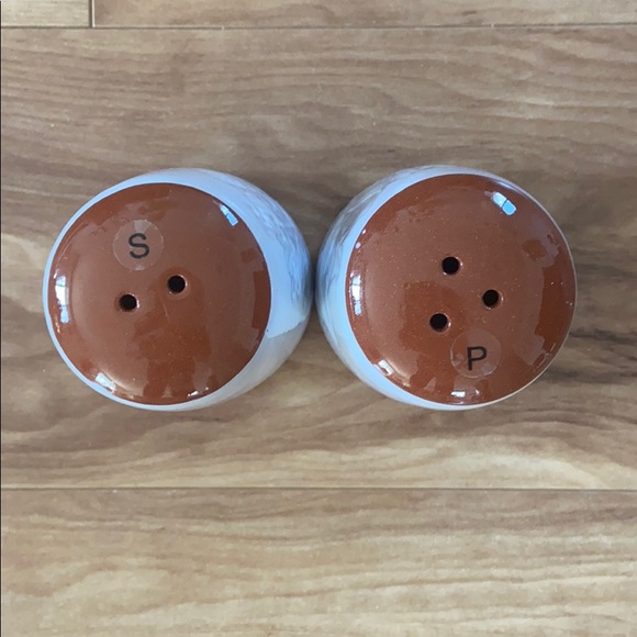 Pier 1 Glazed Terracotta Salt & Pepper Shaker - Picture 5 of 12